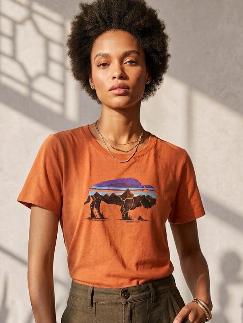 Patagonia Fitz Roy Bison Graphic Tee Burnt Orange Mountain Silhouette Medium